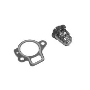THERMOSTAT KIT