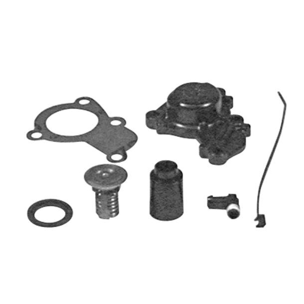 THERMOSTAT KIT 