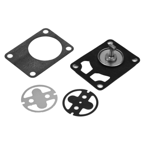 DIAPHRAGM KIT
