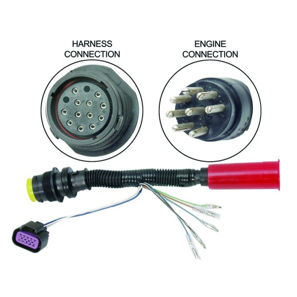 HARNESS ASSEMBLY Adapter (1 Foot) 14 Pin Female To 8 Pin Male 
