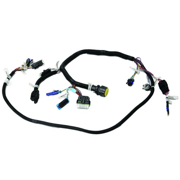 DTS COMMAND MODULE HARNESS ASSEMBLY Quad/Shadow
