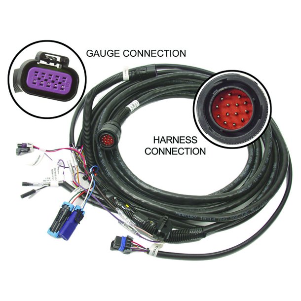 HARNESS ASSEMBLY (2 Feet) Key - Choke - Horn