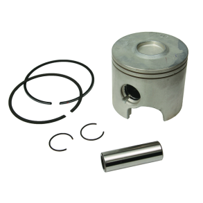 PISTON ASSEMBLY 