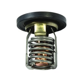 THERMOSTAT 54 Degree C/130 Degree F