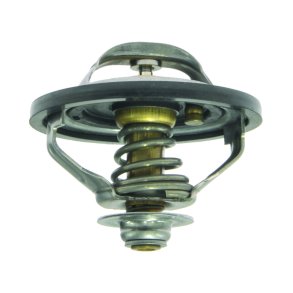 THERMOSTAT ASSY  