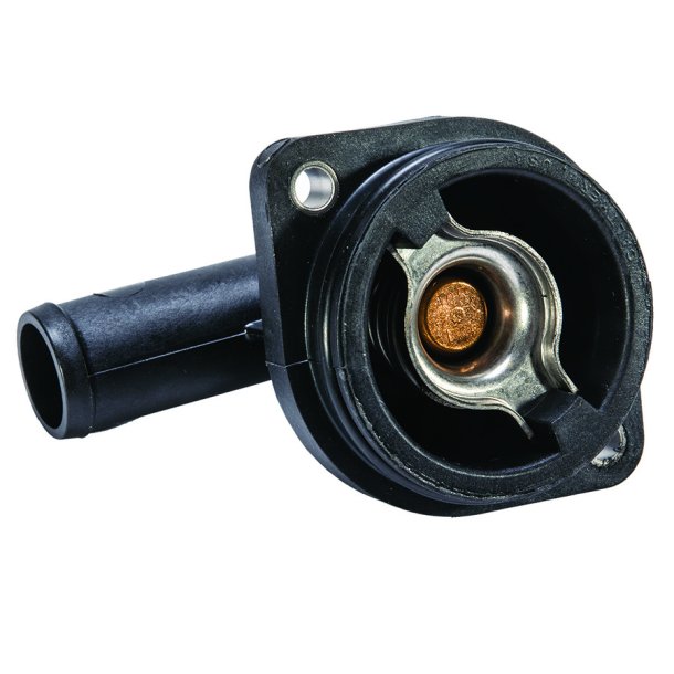 THERMOSTAT ASSY