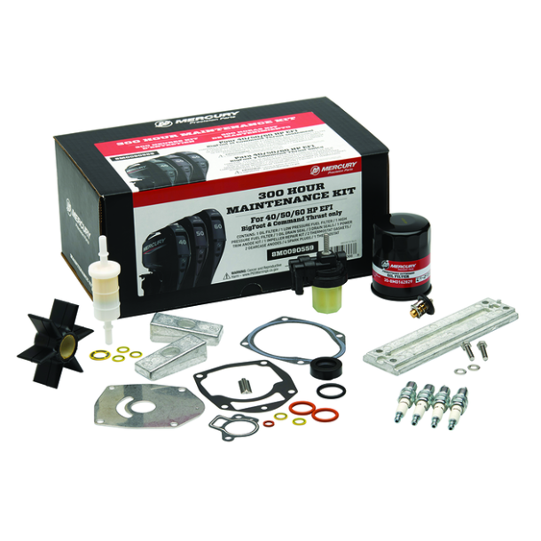 40-60hp EFI FourStroke BF &amp; CT Gearcase only 300 Timer