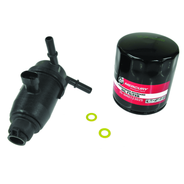 175-300hp 3.4L V6 &amp; 4.6L V8 EFI 100 Timer