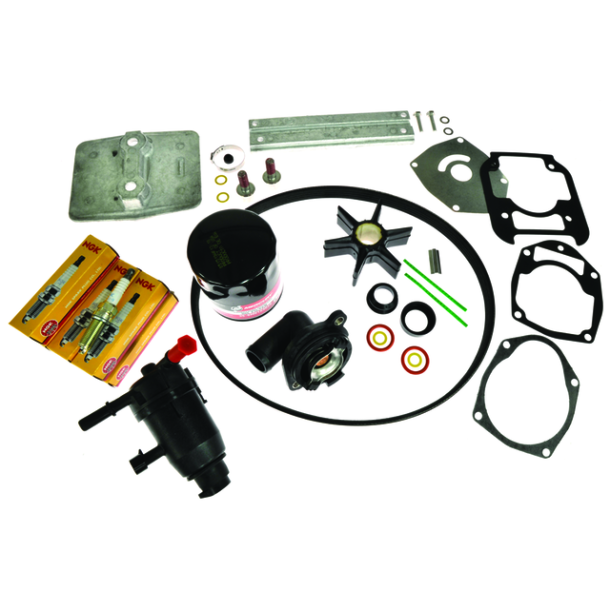 200-300hp 4.6L V8 EFI 300 Timer