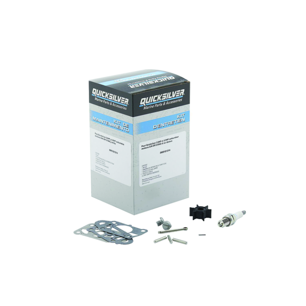 Service Kit - 2.5-3.5hp FourStroke 100 Timer